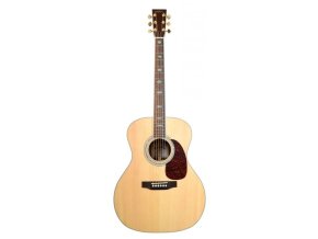 Akustická kytara Sigma Guitars JR-40