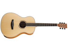 Elektroakustická kytara TANGLEWOOD DBT PE HR