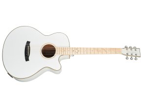 Elektroakustická kytara TANGLEWOOD TW4 BLW