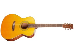Elektroakustická kytara TANGLEWOOD TW40 O AN E