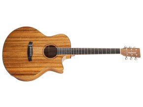 Elektroakustická kytara TANGLEWOOD TW4 E VC PW