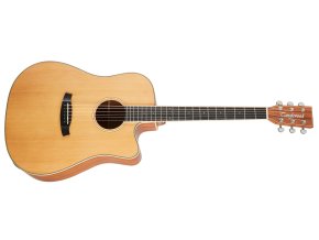 Elektroakustická kytara TANGLEWOOD TW10 E