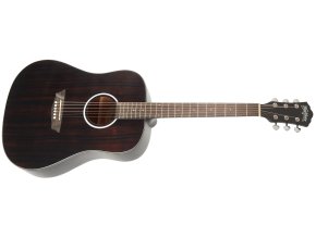 Akustická kytara WASHBURN DFED-U