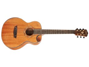 Akustická kytara WASHBURN WCGM12K-D-U