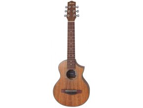 ibanez ewp14wb opn