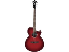 ibanez aeg51 trh