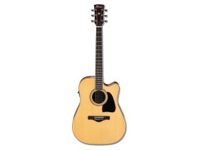 ibanez aw70ece nt