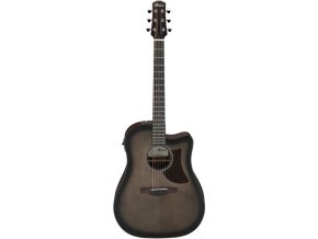 Ibanez AAD50CE-TCB