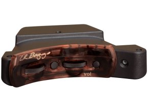 L.R.BAGGS Session VTC