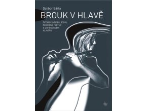 41413 noty pro dve fletny s doprovodem klaviru brouk v hlave cd