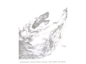 45828 noty pro piano catalogue d oiseaux pour piano livre 1