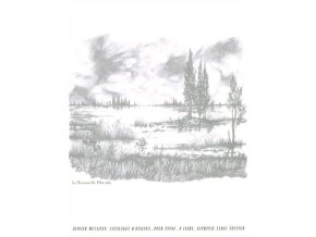 45837 noty pro piano catalogue d oiseaux pour piano livre 4