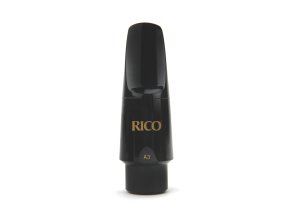 RRGMPCASXA3 main hi res