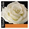 Struny na housle Pirastro Wondertone Solo