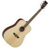 Akustická kytara Tanglewood TW28 SSN