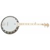 Banjo DEERING Goodtime Special Banjo