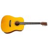 Elektroakustická kytara TANGLEWOOD TW40 D AN E