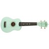 Akustické ukulele UCOOLELE UC-002-GR