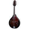 mandolína Ibanez M510E-DVS