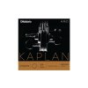 10460 d addario kaplan amo ka310m set