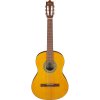 Ibanez GA3-OAM