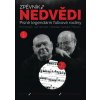 Výstřižek