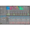 ABLETON Live 10 Intro usb flash disk
