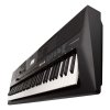 YAMAHA PSR-EW410 keyboard s dynamikou