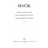 35179 1 ctyricet variaci pro housle op 3 otakar sevcik