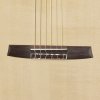 Klasická kytara HANIKA 58 CF Cocobolo