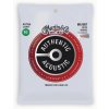 Struny pro 12-ti strunnou akustickou kytaru Martin MA180T 10