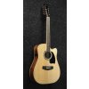 Elektro akustická 12-ti str. kytara Ibanez PF1512ECE NT