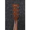 Elektro akustická kytara Ibanez PF10 CE OPN