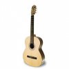 apc 1s classical guitar 3 4