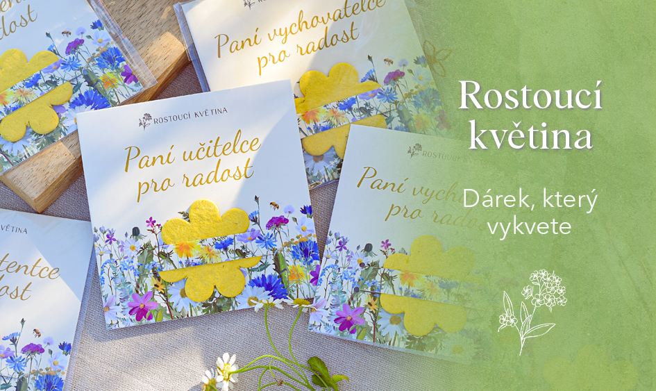 Rostoucí květina ze semínkového papíru