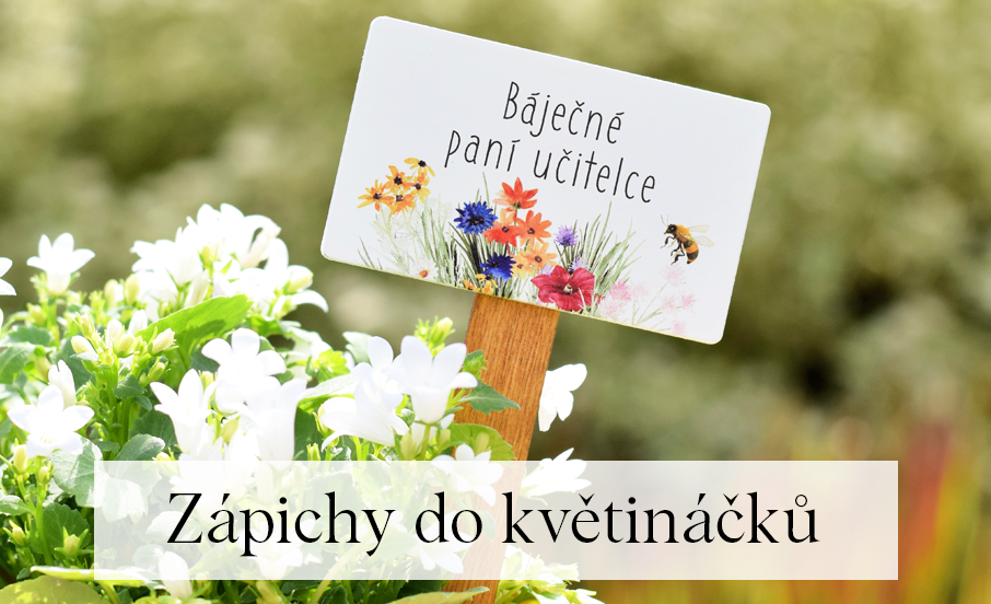 Dřevěné zápichy do květináčů pro učitelky