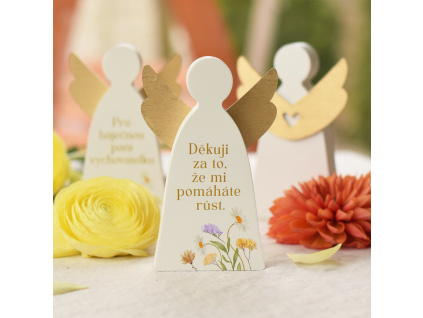 Luční anděl - Děkuji za to, že mi pomáháte růst.