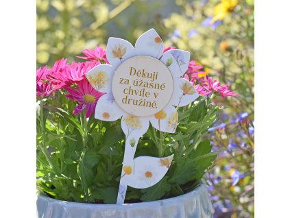 Zápich barevná kytička - Děkuji za úžasné chvíle v družině.