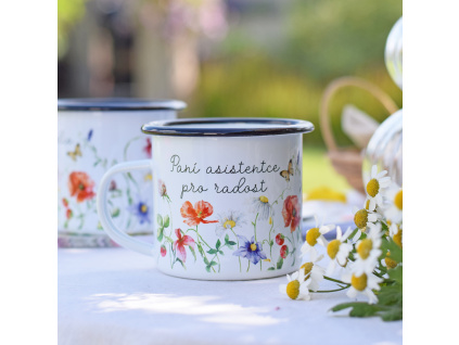 Plecháček - Paní asistentce pro radost (Česká louka)