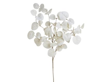 Eukalyptus větvička 80 cm - krémová