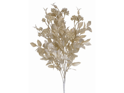 Trs ruscus s bobulemi - světlá hnědá