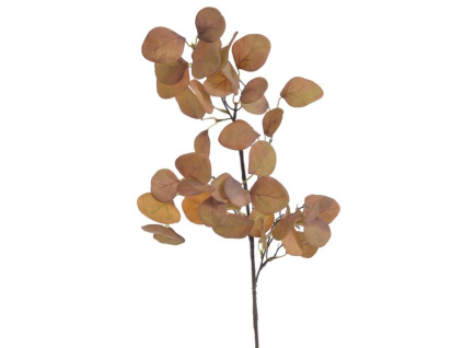 Podzimní větvička eukalyptus - hnědá okrová