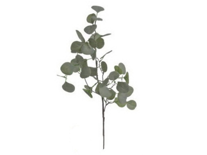 Větvička eukalyptus - zelená