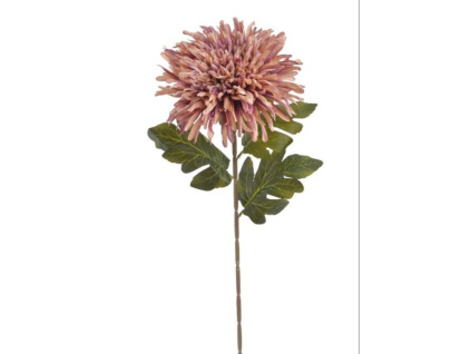 Chryzantéma 72 cm - starorůžová/fialová žíhaná