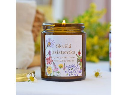 skvělá asistentka malá 1