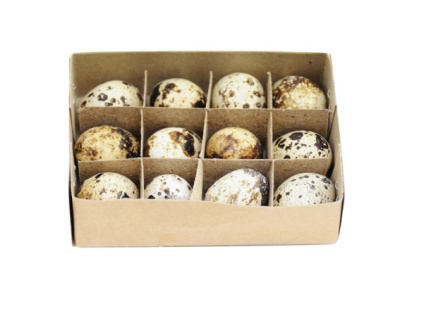 SET křepelčích vajíček - 12ks