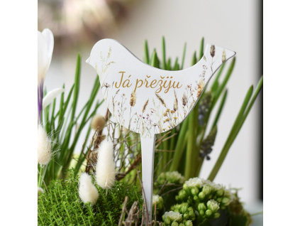 Zápich Ptáček - Já přežiju!