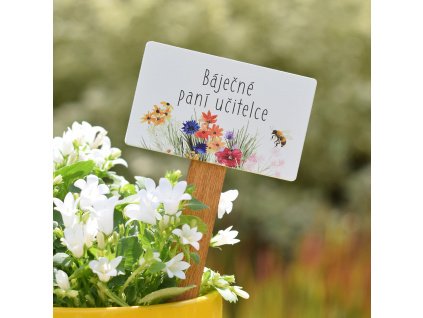 Zápich Barevná louka - Báječné paní učitelce