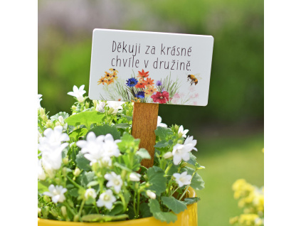 Zápich Barevná louka - Děkuji za krásné chvíle v družině.