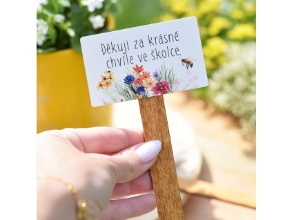 Zápich Barevná louka - Děkuji za krásné chvíle ve školce